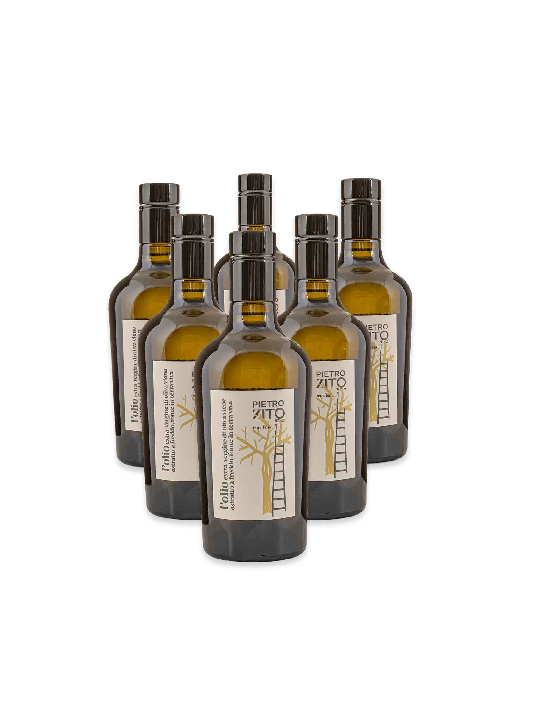Pacco 6 bottiglie olio extravergine d’oliva da 500 ml campagna 2025/2026 – spedizione inclusa