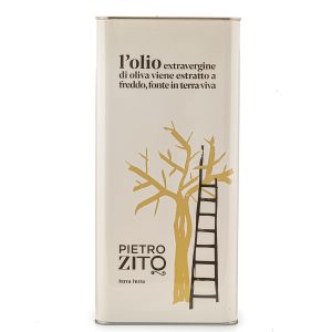 Olio Extravergine di Oliva 5L nuova campagna 2025/2026